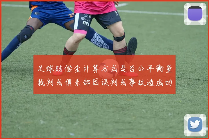 足球赔偿金计算方式是否公平衡量裁判或俱乐部因误判或事故造成的经济损失