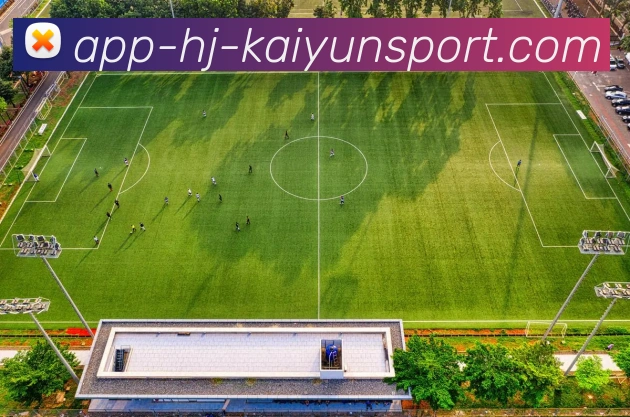 开云APP发展历程